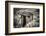 Old Outhouse in the Field-George Oze-Framed Photographic Print