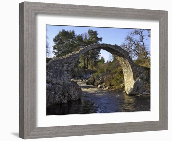 Old Packhorse Bridge, Carrbridge, Highlands, Scotland, United Kingdom, Europe-Gary Cook-Framed Photographic Print