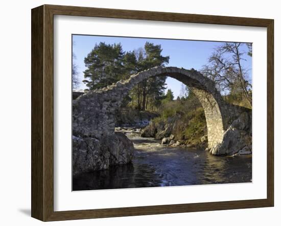 Old Packhorse Bridge, Carrbridge, Highlands, Scotland, United Kingdom, Europe-Gary Cook-Framed Photographic Print