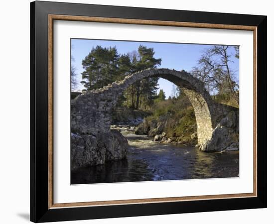 Old Packhorse Bridge, Carrbridge, Highlands, Scotland, United Kingdom, Europe-Gary Cook-Framed Photographic Print