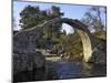 Old Packhorse Bridge, Carrbridge, Highlands, Scotland, United Kingdom, Europe-Gary Cook-Mounted Photographic Print