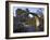 Old Packhorse Bridge, Carrbridge, Highlands, Scotland, United Kingdom, Europe-Gary Cook-Framed Photographic Print