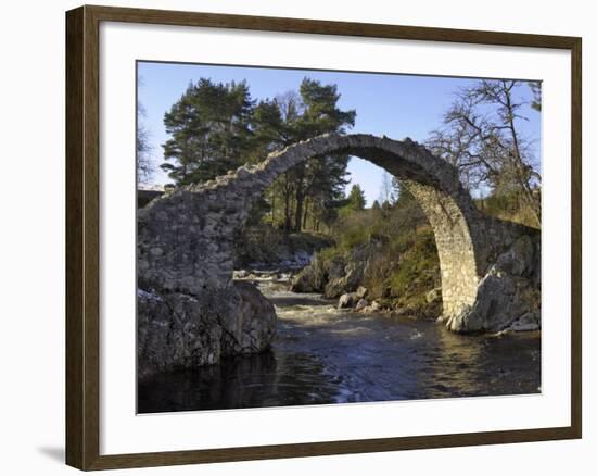 Old Packhorse Bridge, Carrbridge, Highlands, Scotland, United Kingdom, Europe-Gary Cook-Framed Photographic Print