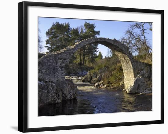 Old Packhorse Bridge, Carrbridge, Highlands, Scotland, United Kingdom, Europe-Gary Cook-Framed Photographic Print