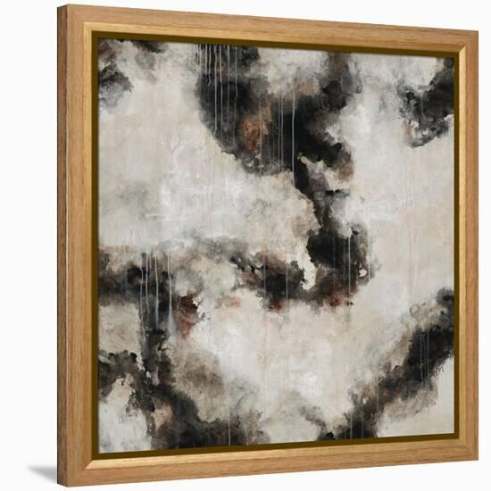 Old Paint-Farrell Douglass-Framed Premier Image Canvas