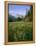 Old Park Service cabin in the Cut Bank Valley of Glacier National Park in Montana-Chuck Haney-Framed Premier Image Canvas