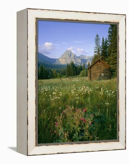 Old Park Service cabin in the Cut Bank Valley of Glacier National Park in Montana-Chuck Haney-Framed Premier Image Canvas