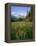 Old Park Service cabin in the Cut Bank Valley of Glacier National Park in Montana-Chuck Haney-Framed Premier Image Canvas