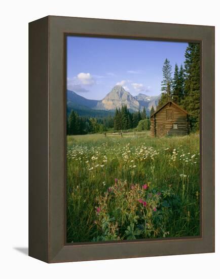 Old Park Service cabin in the Cut Bank Valley of Glacier National Park in Montana-Chuck Haney-Framed Premier Image Canvas