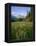 Old Park Service cabin in the Cut Bank Valley of Glacier National Park in Montana-Chuck Haney-Framed Premier Image Canvas