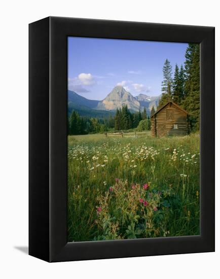 Old Park Service cabin in the Cut Bank Valley of Glacier National Park in Montana-Chuck Haney-Framed Premier Image Canvas