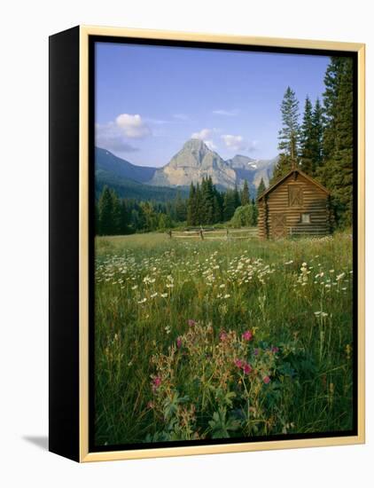 Old Park Service cabin in the Cut Bank Valley of Glacier National Park in Montana-Chuck Haney-Framed Premier Image Canvas