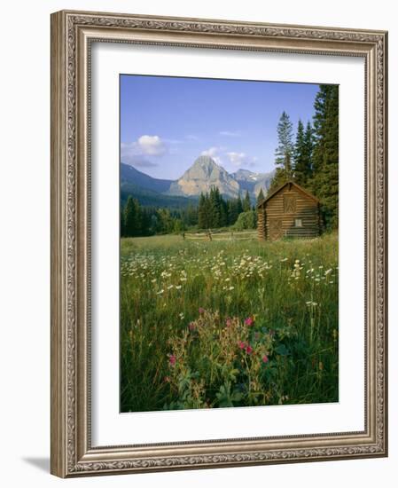 Old Park Service cabin in the Cut Bank Valley of Glacier National Park in Montana-Chuck Haney-Framed Photographic Print