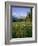 Old Park Service cabin in the Cut Bank Valley of Glacier National Park in Montana-Chuck Haney-Framed Photographic Print