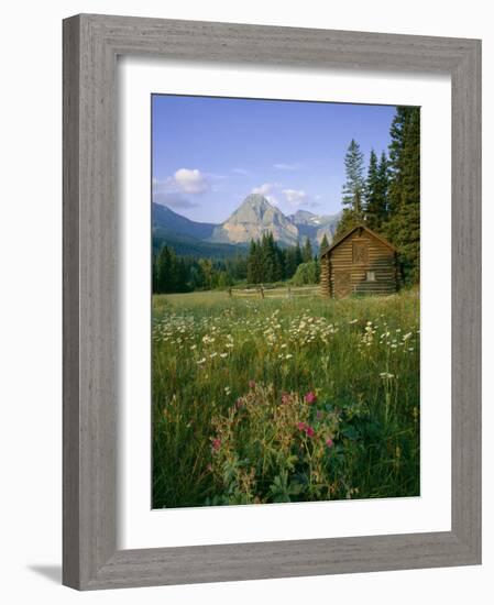 Old Park Service cabin in the Cut Bank Valley of Glacier National Park in Montana-Chuck Haney-Framed Photographic Print