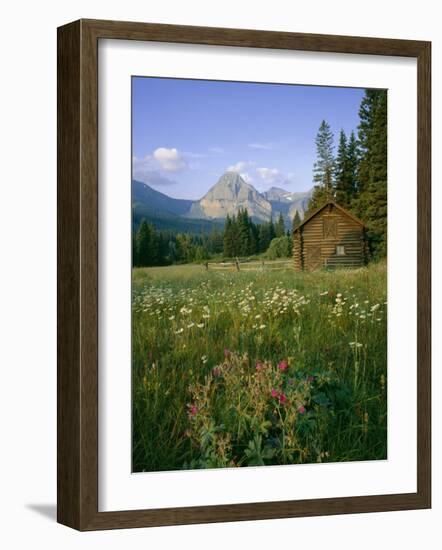 Old Park Service cabin in the Cut Bank Valley of Glacier National Park in Montana-Chuck Haney-Framed Photographic Print