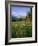 Old Park Service cabin in the Cut Bank Valley of Glacier National Park in Montana-Chuck Haney-Framed Photographic Print