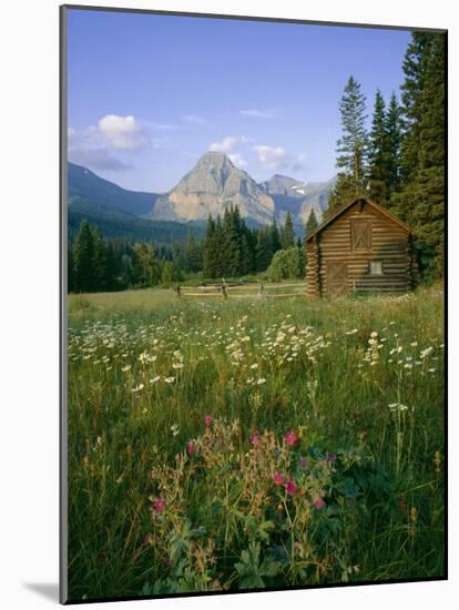 Old Park Service cabin in the Cut Bank Valley of Glacier National Park in Montana-Chuck Haney-Mounted Photographic Print