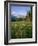 Old Park Service cabin in the Cut Bank Valley of Glacier National Park in Montana-Chuck Haney-Framed Photographic Print