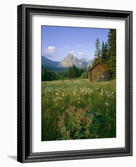 Old Park Service cabin in the Cut Bank Valley of Glacier National Park in Montana-Chuck Haney-Framed Photographic Print