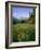 Old Park Service cabin in the Cut Bank Valley of Glacier National Park in Montana-Chuck Haney-Framed Photographic Print