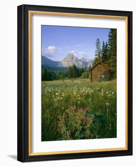 Old Park Service cabin in the Cut Bank Valley of Glacier National Park in Montana-Chuck Haney-Framed Photographic Print