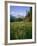 Old Park Service cabin in the Cut Bank Valley of Glacier National Park in Montana-Chuck Haney-Framed Photographic Print