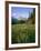 Old Park Service cabin in the Cut Bank Valley of Glacier National Park in Montana-Chuck Haney-Framed Photographic Print