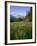 Old Park Service cabin in the Cut Bank Valley of Glacier National Park in Montana-Chuck Haney-Framed Photographic Print