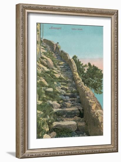 Old Path, Capri-null-Framed Art Print