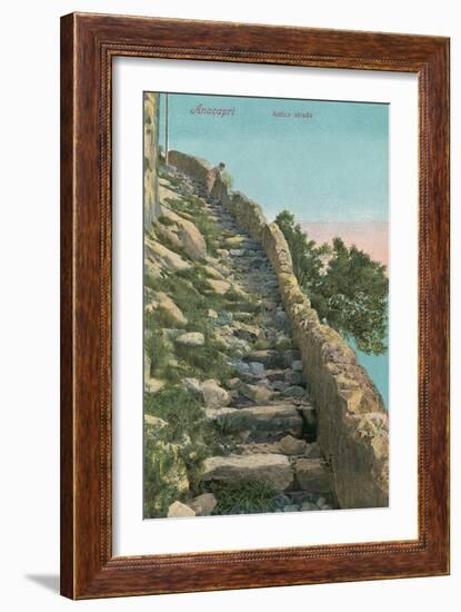 Old Path, Capri-null-Framed Art Print