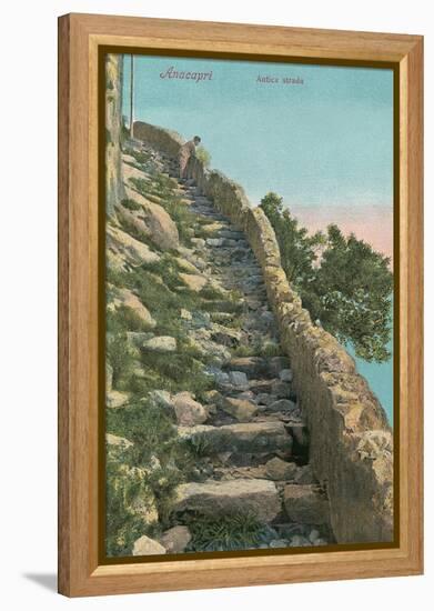 Old Path, Capri-null-Framed Stretched Canvas