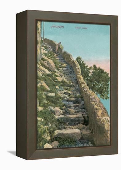 Old Path, Capri-null-Framed Stretched Canvas