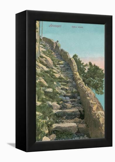Old Path, Capri-null-Framed Stretched Canvas
