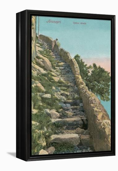 Old Path, Capri-null-Framed Stretched Canvas