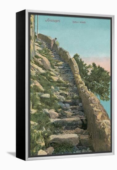 Old Path, Capri-null-Framed Stretched Canvas