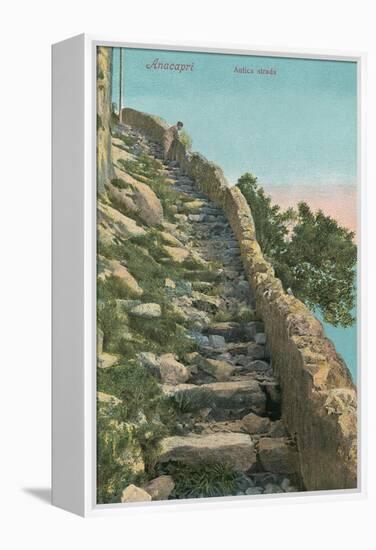 Old Path, Capri-null-Framed Stretched Canvas