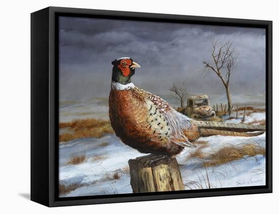 Old Perch-Trevor V. Swanson-Framed Premier Image Canvas