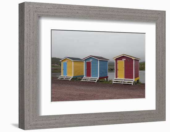 Old Perlican, Newfoundland, Canada-Greg Johnston-Framed Photographic Print