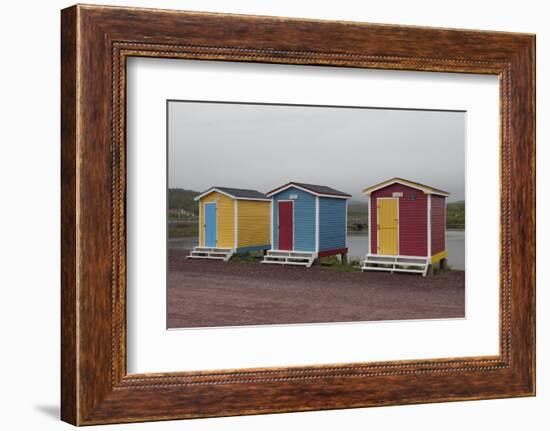 Old Perlican, Newfoundland, Canada-Greg Johnston-Framed Photographic Print