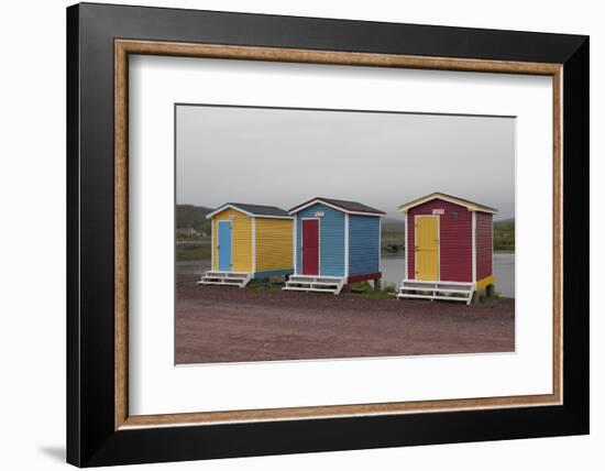 Old Perlican, Newfoundland, Canada-Greg Johnston-Framed Photographic Print