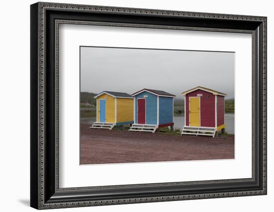 Old Perlican, Newfoundland, Canada-Greg Johnston-Framed Photographic Print