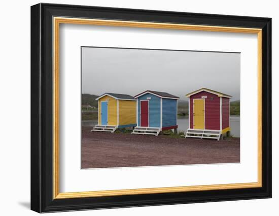 Old Perlican, Newfoundland, Canada-Greg Johnston-Framed Photographic Print