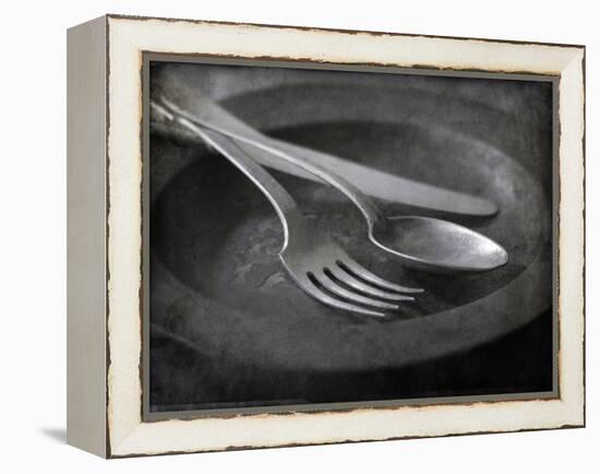 Old Pewter Flatware on an Old Pewter Plate-Steve Lupton-Framed Premier Image Canvas