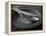 Old Pewter Flatware on an Old Pewter Plate-Steve Lupton-Framed Premier Image Canvas