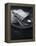 Old Pewter Flatware-Steve Lupton-Framed Premier Image Canvas