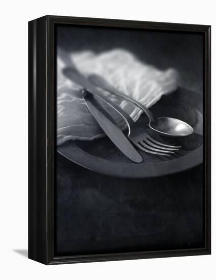 Old Pewter Flatware-Steve Lupton-Framed Premier Image Canvas