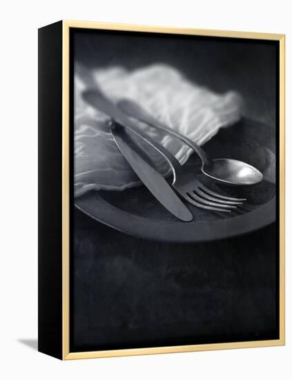 Old Pewter Flatware-Steve Lupton-Framed Premier Image Canvas