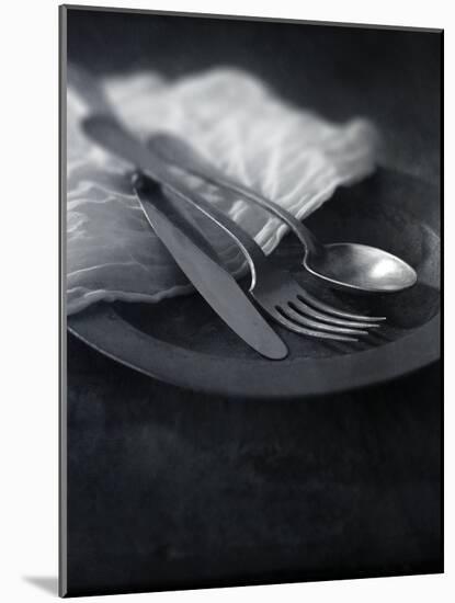 Old Pewter Flatware-Steve Lupton-Mounted Photographic Print