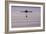 Old Pier, Herne Bay-Adrian Campfield-Framed Photographic Print